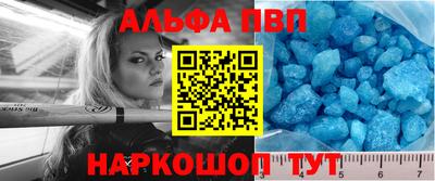 бошки Кингисепп