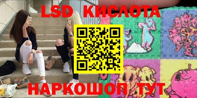 бошки Кингисепп