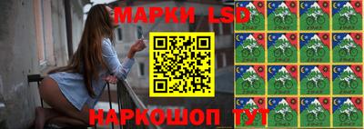 бошки Кингисепп