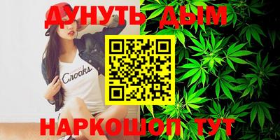 бошки Кингисепп