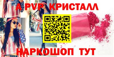 бошки Кингисепп