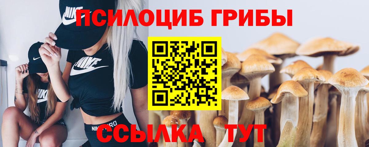 Галлюциногенные грибы прущие грибы  Вход с VPN  Псилоцибиновые грибы прущие грибы  Куйбышев 